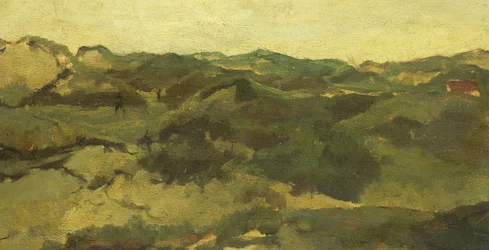 Heath-i táj, feltehetően Drenthében