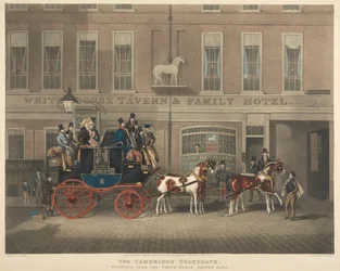 Edzés: A Cambridge Telegraph, a fehér lótól kezdve
