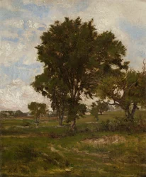 A szilfa