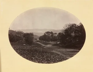 Egy út Williamstownban, c. 1870.