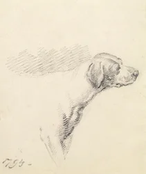 Tanulmány egy kopóról, 1794