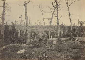 Resaca-i csatatér, Georgia, 1864.3.1864 (fénykép)