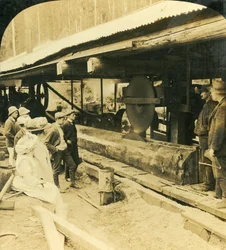 The Timber Industry, Warburton, Victoria, Ausztrália, 1909.