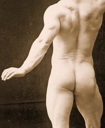 Eugen Sandow klasszikus ókori görög-római pózban, a DGC 1073442 részlete, 1894 körül