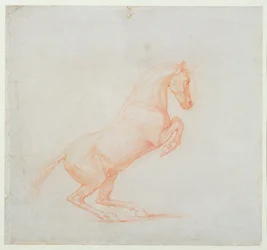 Egy ágaskodó ló, jobbra fordítva, 1790 (piros kréta papíron)