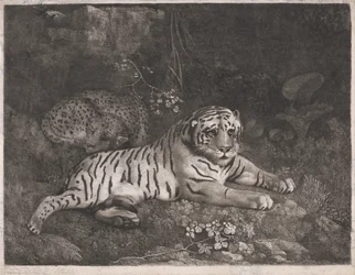 Egy tigris és egy alvó leopárd