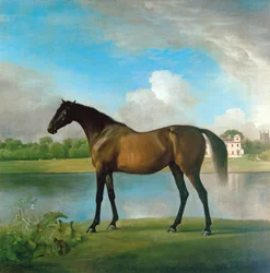 Lord Bolingbroke fiaskanca a Lydiard Park területén, Wiltshire, 1764-66 körül (olaj, vászon)