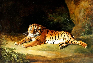 Tigris (olaj, vászon)