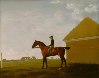 Turf, Jockeyval felfelé, Newmarketben