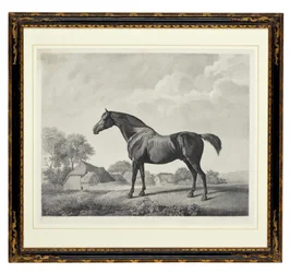 Sweetbrier (stipple gravírozás)