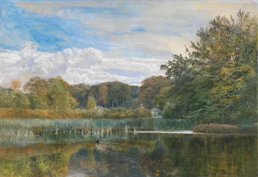 A malomtó, Evelyn Woods