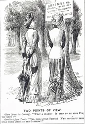 Rajzfilm, amely kommentálja az 1880. évi madárvédelmi törvényt