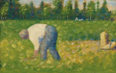 Mérlegelés; Dolgozó paraszt, 1882-1883