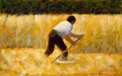 A Kasza, 1881-82.
