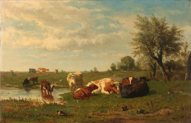 Tehenek a réten