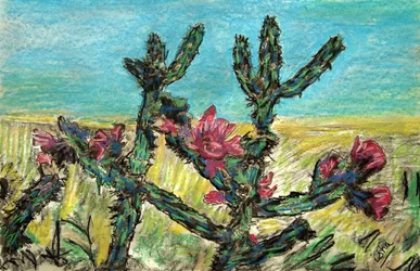 Cholla in Bloom, 2017 (rajz papírra)