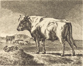 Tehén