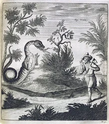 Egy félelmetes sárkány, 1660 körül
