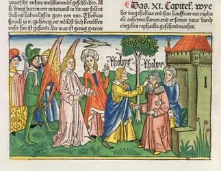 Apokrifek: Tóbiás egy hal epéjével visszaadja apja, Tóbit látását, a nürnbergi Bibliából (Biblia Sacra Germanaica)