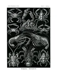Decapoda, 1899-1904