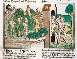 Ádámot és Évát ábrázoló metszet a paradicsomban, a Biblia jelenete ... (metszet)