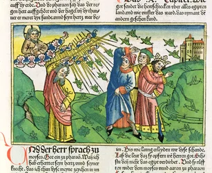 Kivonulás 10:1-20 Egyiptom hét csapása: a sáskajárás, a nürnbergi Bibliából (Biblia Sacra Germanica)