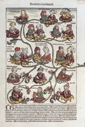 Lábán genealógiai fája, Hartmann Schedel (1440-1514) „Liber Chronicarum” című művéből, 1493 (színes fametszet)