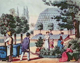 Kertgondozás, 1860 körül (színes metszet)