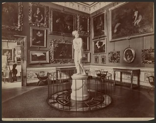 Firenze, Pitti, Flora terem