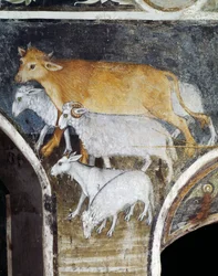 Haszonállatok, Giacomo Jaqueerio (1375-1453) freskója, Ranversoi Szent Antal apátság, Buttigliera Alta, Piemont, Olaszország