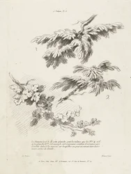 Három leveles ág tanulmányozása 1er Cahier de paysage (sorozat címe)