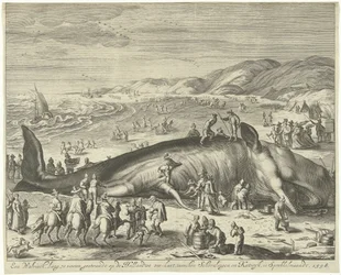 Partra vetett bálna Berckheyben, 1598 Egy 70 láb hosszú bálna a holland tengerparton, Schevelingen és Katwyk között, Sprokkelmaandtban, 1598 (cím a tárgyon)