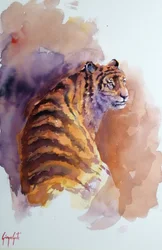 tigris 6