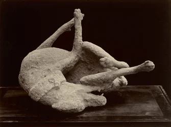 Kutya, Pompeji, kb. 1870