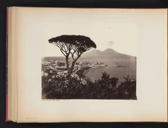 Kilátás Nápolyra, Olaszországra, egy fenyőfával az előtérben Panoráma völgy Vomero Napoli (cím az objektumon)