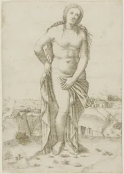 Vénusz