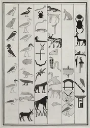 Rajzok I. Psammetic fáraó sírjának belsejéből, Giovanni Battista Belzoni reprodukálta 1817-ben, a londoni British Museumban található.
