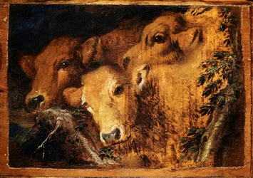 Három fej Etude borjúhús. Giovanni Benedetto Castiglione dit il Grechetto (1610-1665) festménye V. 24x35 cm Gének, Musei di Strada Nuova