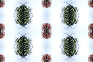Természetellenes 110 (digitálisan manipulált fotó)