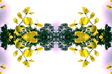 Természetellenes 151.2 (digitálisan manipulált fotó)