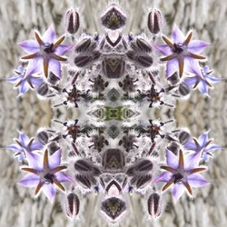Természetellenes 159 (digitálisan manipulált fotó)