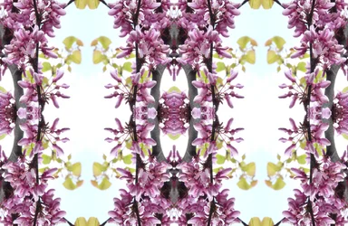Természetellenes 160.3 (digitálisan manipulált fotó)