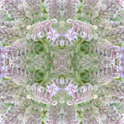 Természetellenes 161 (digitálisan manipulált fotó)