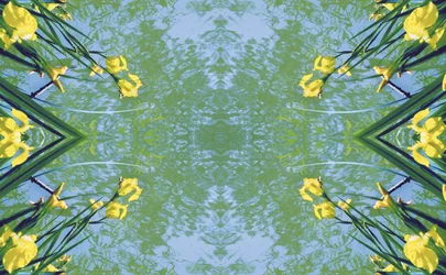 Természetellenes 17 (digitálisan manipulált fotó)
