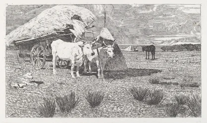 Ökrök a szekérre (Maremma) [Bovi al carro (Maremma)]