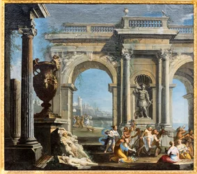 Silenus diadala