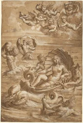 Galatea diadala