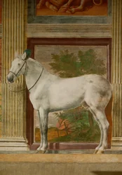 A Lovak terme, a Gonzaga II. Federico kedvenc lovainak falfestményeivel (freskó)