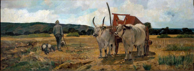 Táj Maremmában (olaj, vászon