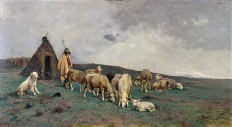 Hegyi legelők